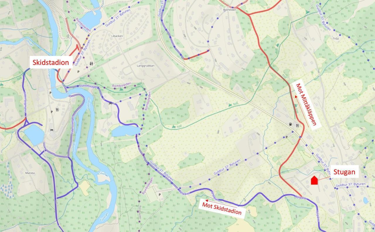 Bruksvallarna - Modern Fjaellstuga Med Panoramautsikt Och Wifi Bagian luar foto