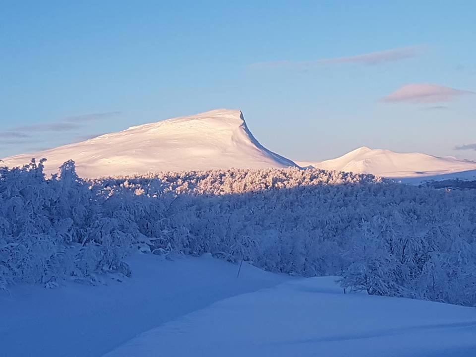 Bruksvallarna - Modern Fjaellstuga Med Panoramautsikt Och Wifi Bagian luar foto