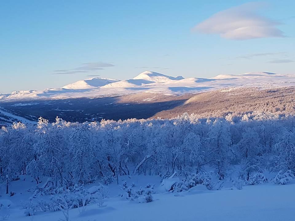 Bruksvallarna - Modern Fjaellstuga Med Panoramautsikt Och Wifi Bagian luar foto