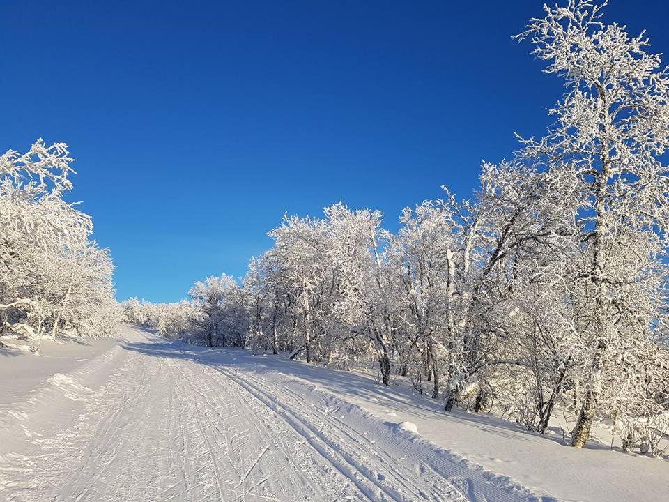 Bruksvallarna - Modern Fjaellstuga Med Panoramautsikt Och Wifi Bagian luar foto